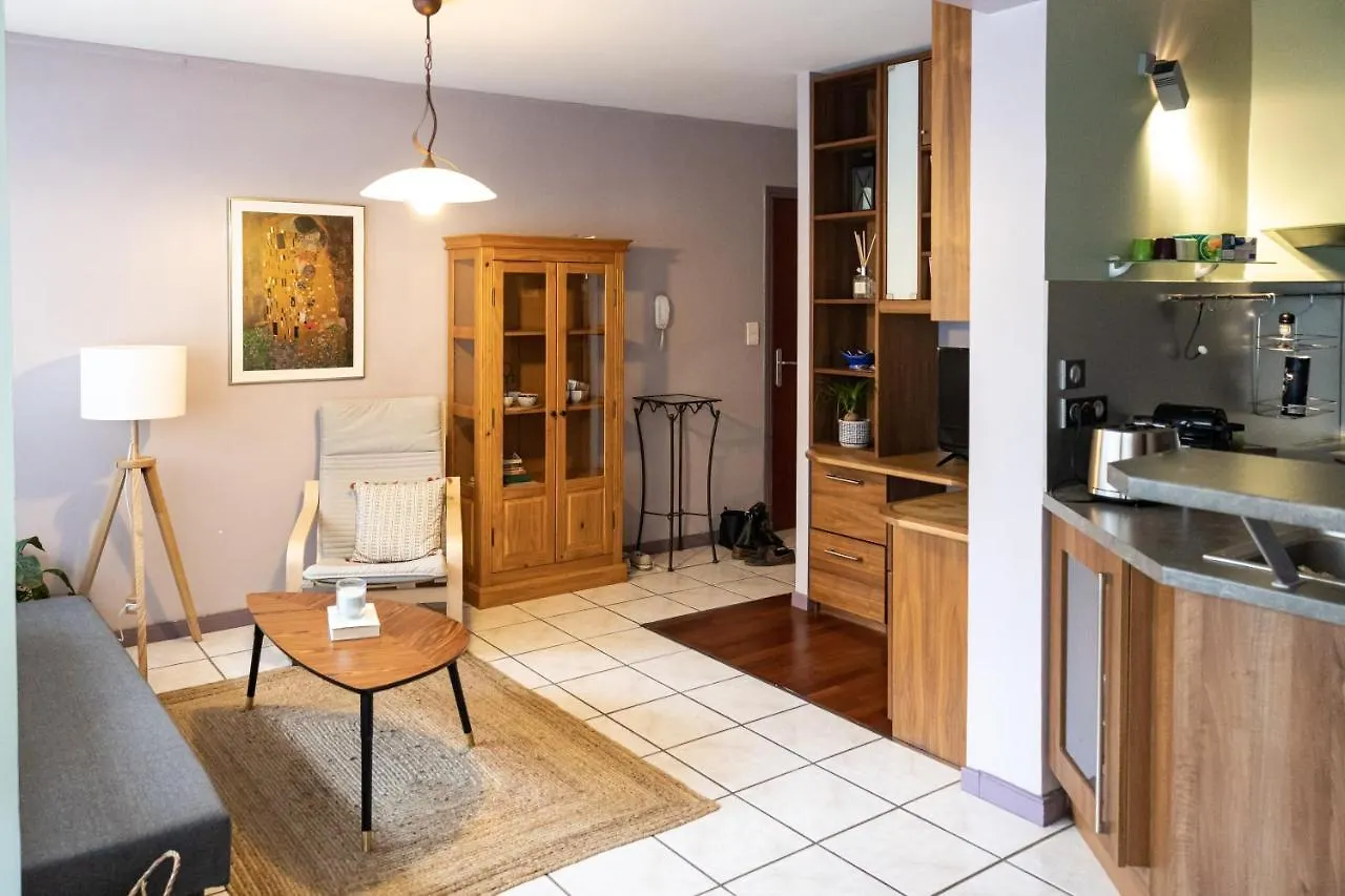 Le Petit Blatin F2 De 44M2 Apartment Clermont-Ferrand France