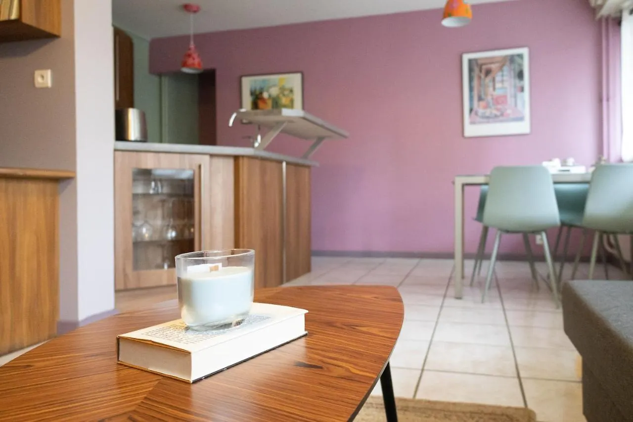 Le Petit Blatin F2 De 44M2 Apartment Clermont-Ferrand